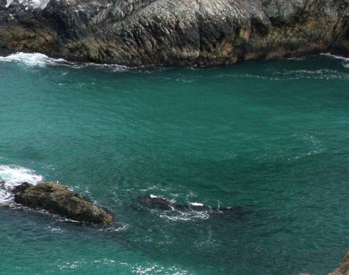 粉象生活强制返利