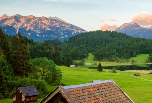 粉象生活发红包
