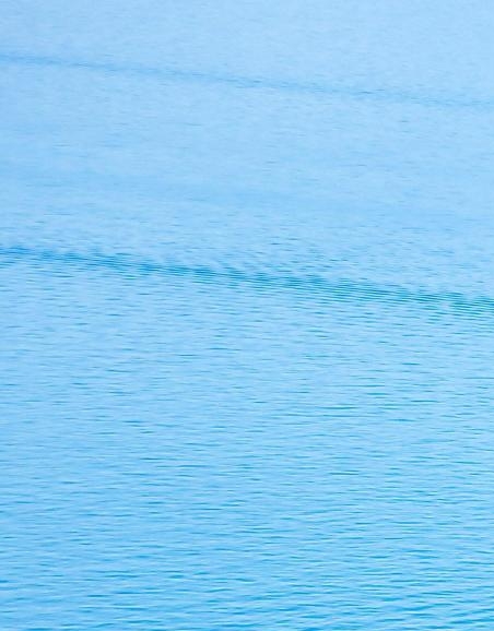 惠州粉象生活怎么样