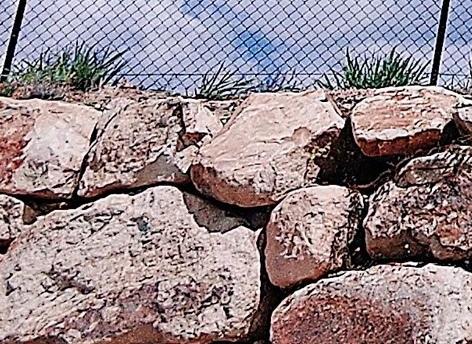 下载粉象生活能赚钱吗