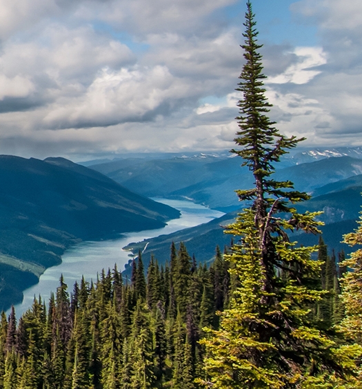 粉象生活广州总部