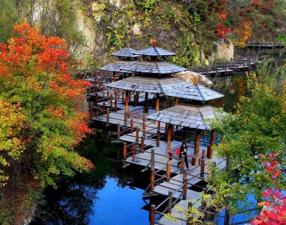 鲸鱼生活在什么地方