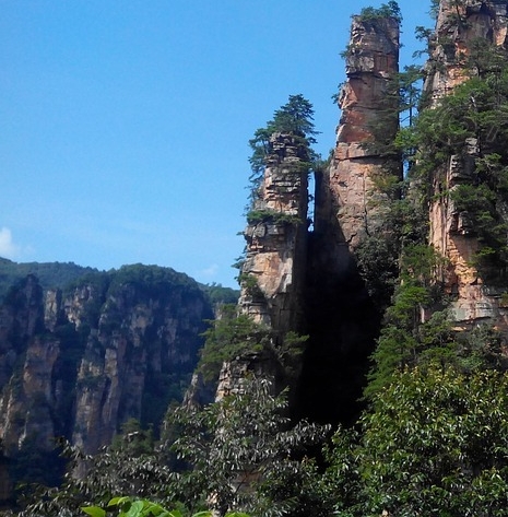 粉象生活宝妈如何挣钱