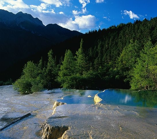 粉象生活aap下载