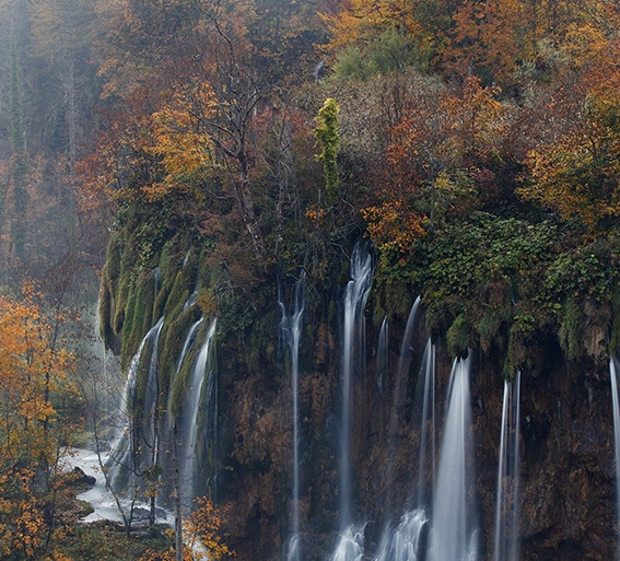 粉象生活总代理