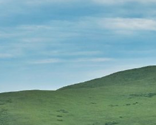 粉象可以赚钱吗