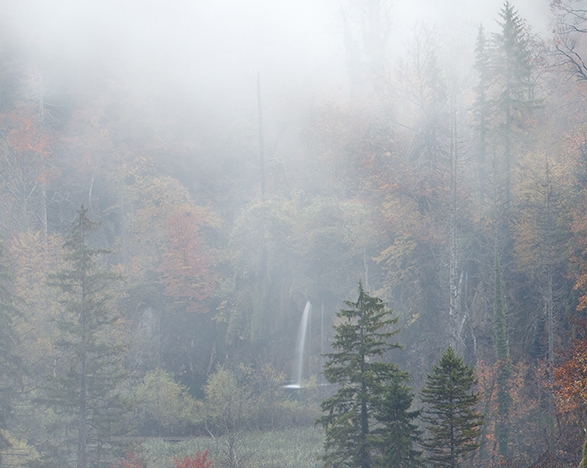 粉象生活是啥软件粉象生活