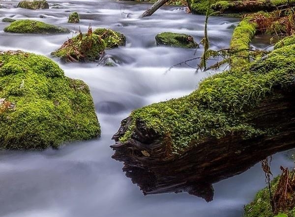 粉象生活能赚到钱吗