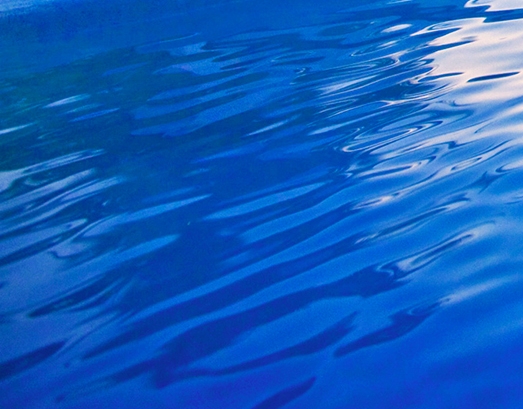 粉象生活需要发朋友圈吗