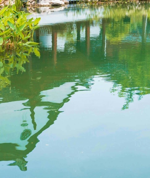 小森生活怎么卖东西