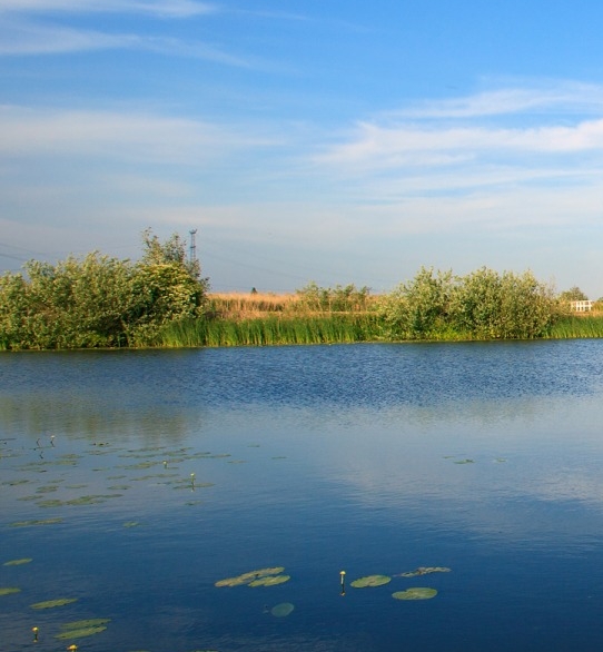 粉象生活是正规平台吗
