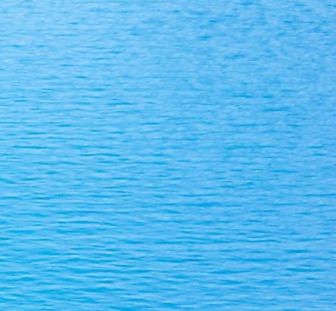 粉象生活结算一月一次吗