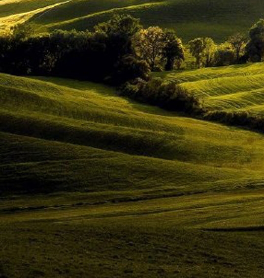 粉象生活是个什么东西