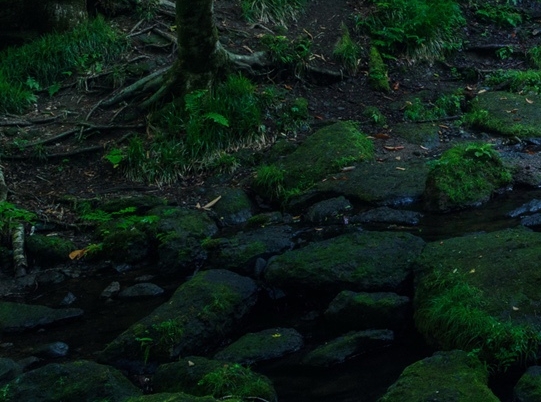 什么是粉象生活怎么操作呢