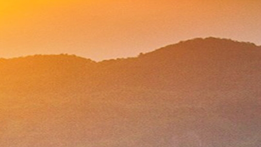 粉象生活邀请码