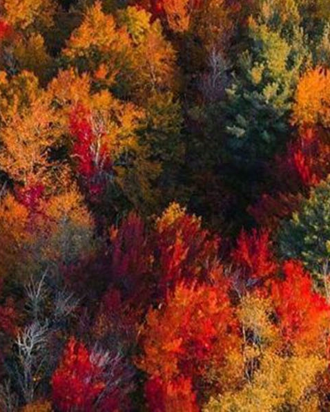 山东提升职工生活品质