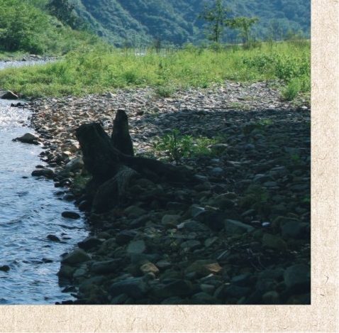 粉象生活邀请码