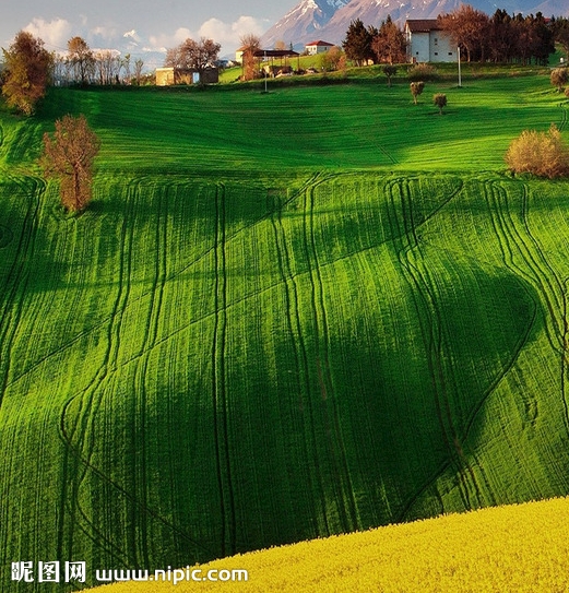 粉象生活可以发文章吗