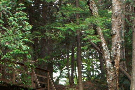 怎么找到粉象生活券