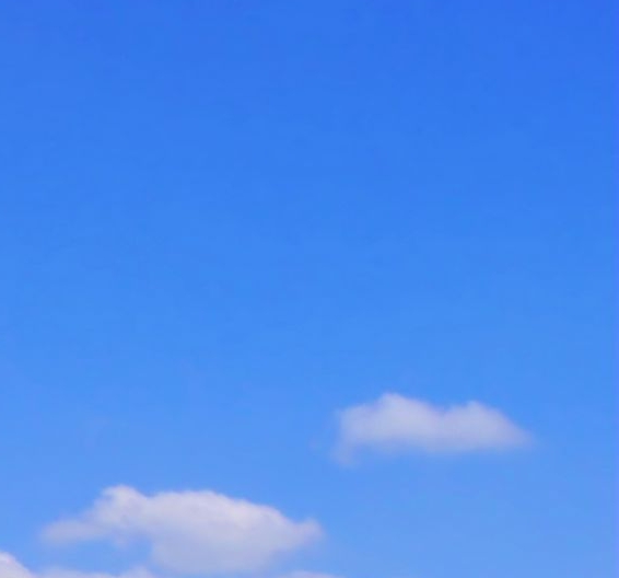 粉象生活是什么样的平台