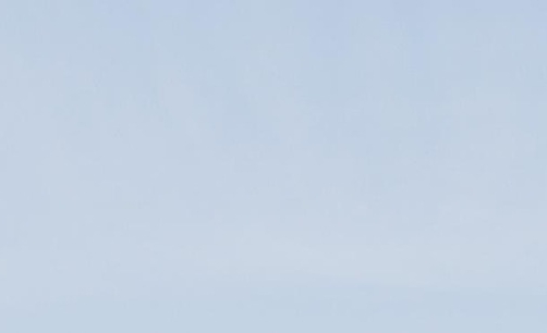 粉象生活官方登录