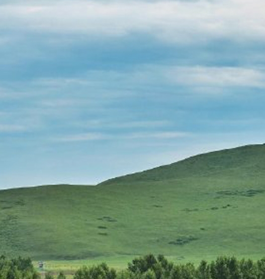 粉象生活app下载