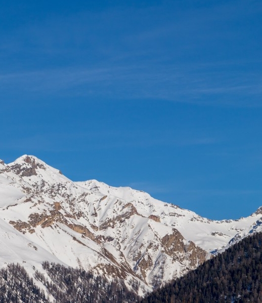 粉象生活粉丝怎么增加