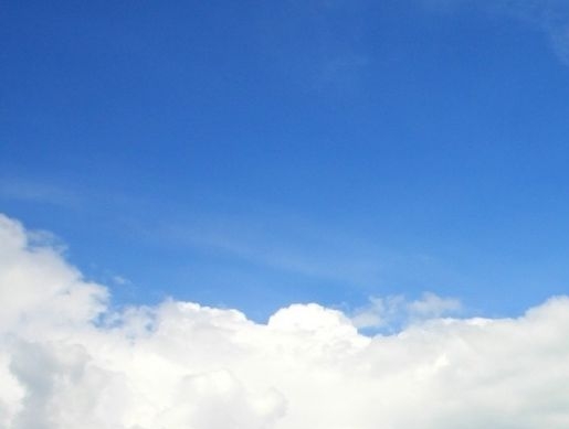 淘粉生活公司简介