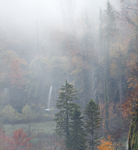 如何使用粉象生活