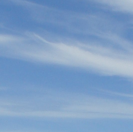 粉象啤酒 进入国内 2011年