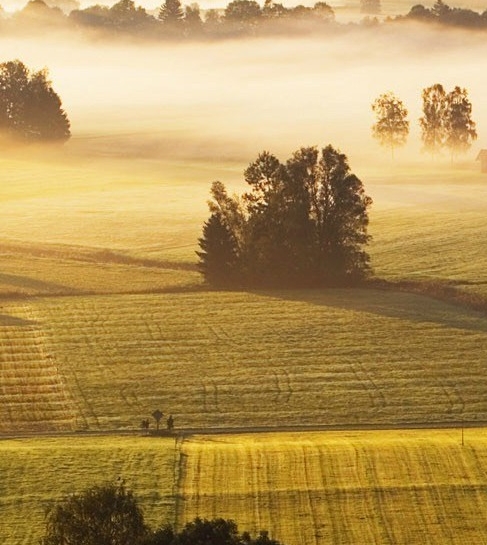 粉象生活邀请码填谁的最好
