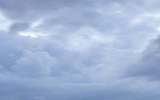 粉象生活中我的鱼塘在哪