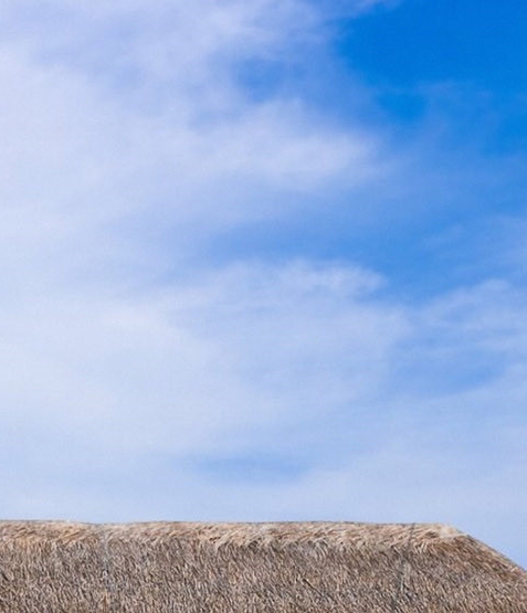 疫情过后的粉象生活