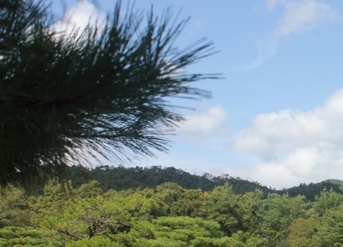 白山最低生活保障标准