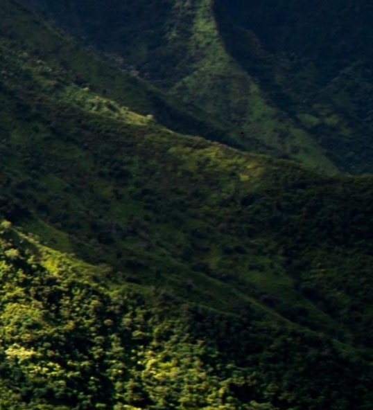 果冻盒和粉象生活哪个好