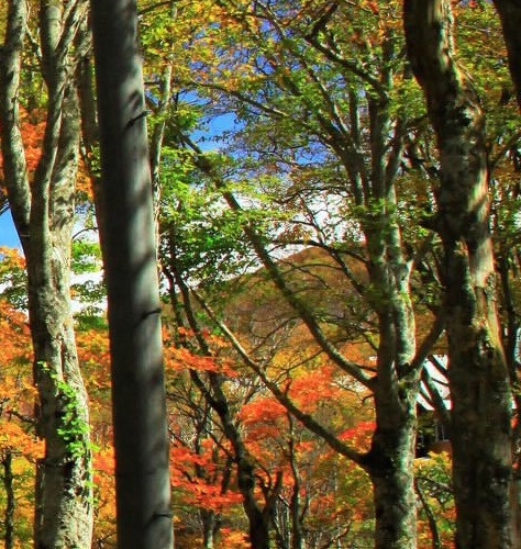 珠海粉象生活使用教程