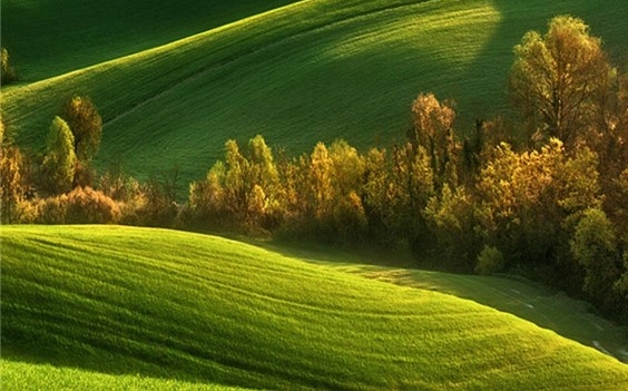 粉象生活京东怎么使用