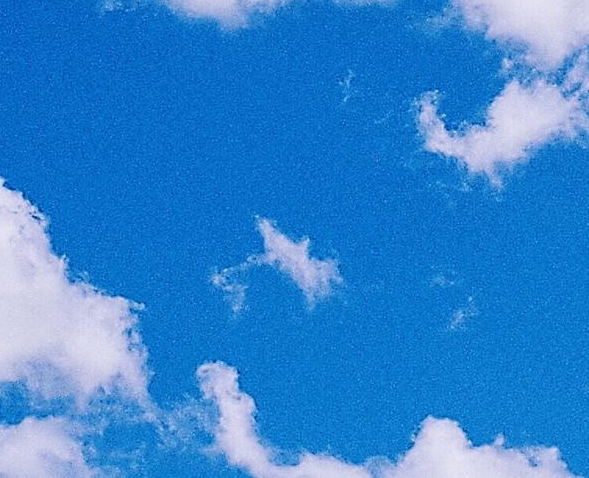 何芳芳和乐乐的图片