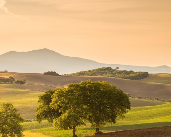 粉象生活是什么样的平台