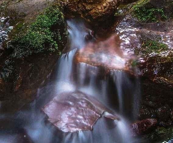 下载粉象生活可靠吗