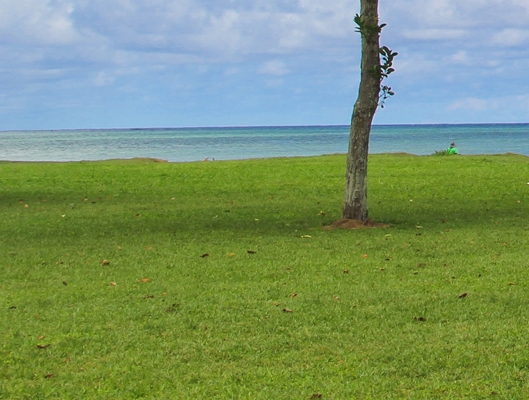 粉象生活是什么APP