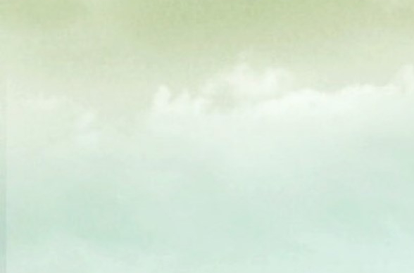 粉象生活399升级会员