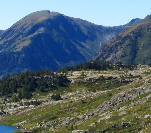 粉象生活里怎么开直播