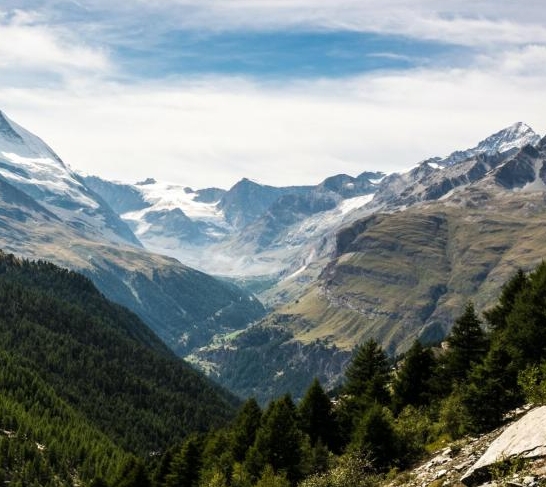 小便有洗衣粉的味道
