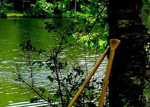 粉象生活真实收入