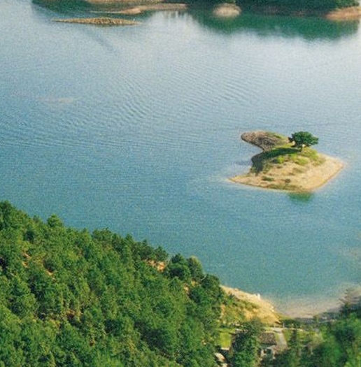 粉象生活能赚钱吗