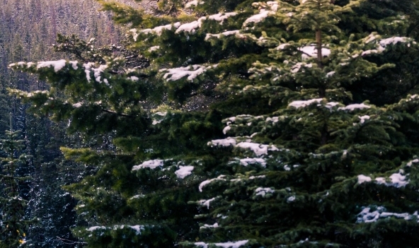 粉象生活如何用手机下载