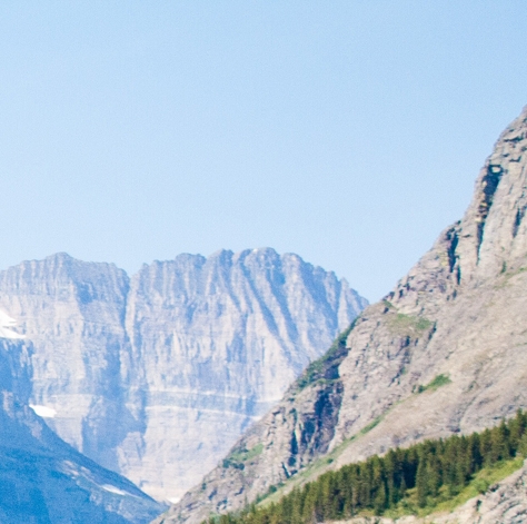 东莞粉象生活能拿几代佣金