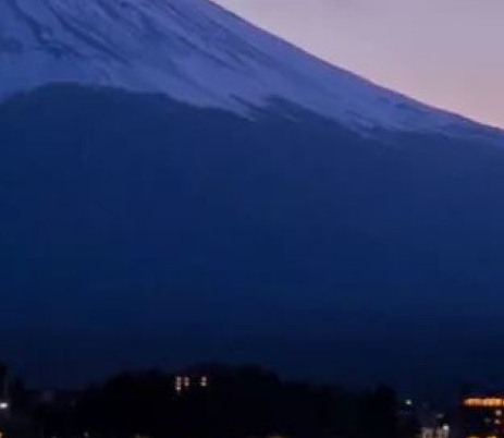 粉象生活升级太难