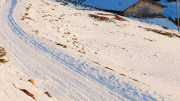 粉象生活看视频四个字